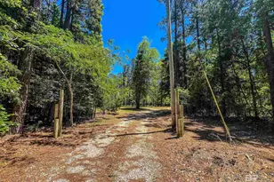 11400 Quinley Rd, Bay Minette, AL 36507 - Photo 46