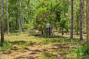 1609 Makaira Dr, Foley, AL 36535 - Photo 60