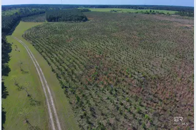 Oo County Road 87, Elberta, AL 36530 - Photo 24