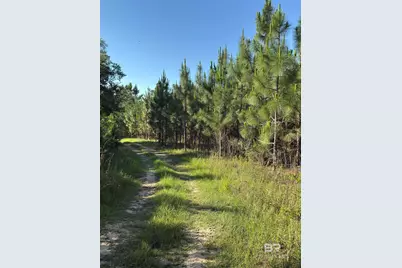 Oo County Road 87, Elberta, AL 36530 - Photo 50