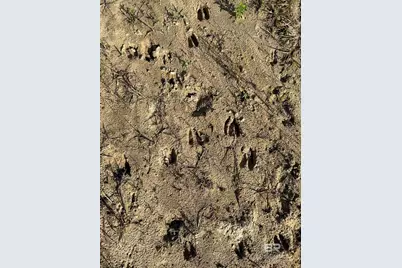 Oo County Road 87, Elberta, AL 36530 - Photo 34