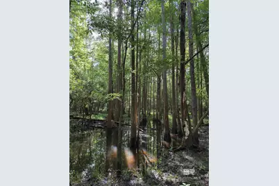Oo County Road 87, Elberta, AL 36530 - Photo 48