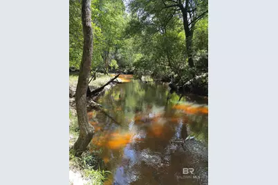 Oo County Road 87, Elberta, AL 36530 - Photo 6