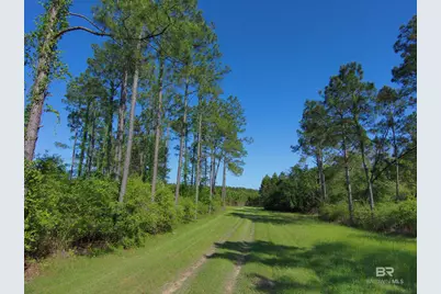 Oo County Road 87, Elberta, AL 36530 - Photo 18