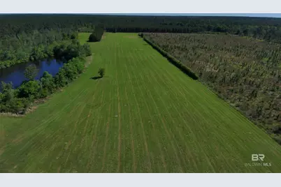 Oo County Road 87, Elberta, AL 36530 - Photo 26