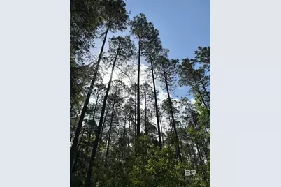 Oo County Road 87, Elberta, AL 36530 - Photo 62