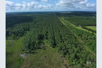 Oo County Road 87, Elberta, AL 36530 - Photo 32