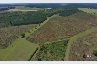 Oo County Road 87, Elberta, AL 36530 - Photo 2
