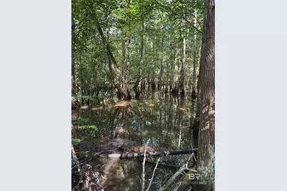 Oo County Road 87, Elberta, AL 36530 - Photo 52