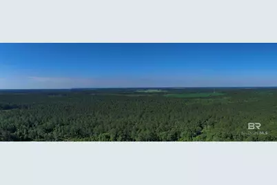 Oo County Road 87, Elberta, AL 36530 - Photo 44