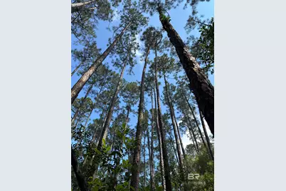 Oo County Road 87, Elberta, AL 36530 - Photo 42