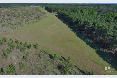 Oo County Road 87, Elberta, AL 36530 - Photo 22