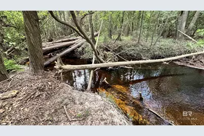 24781 New Horizons Trail, Robertsdale, AL 36567 - Photo 10