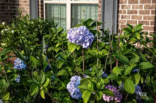 6054 Andhurst Dr, Gulf Shores, AL 36542 - Photo 40