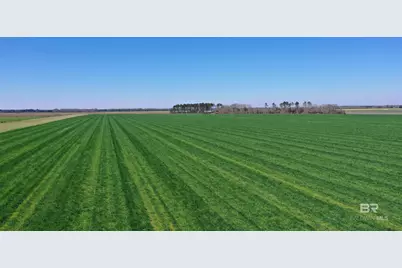 Lot 14 Davis Pond Road, Atmore, AL 36502 - Photo 2