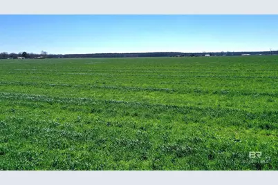 Lot 14 Davis Pond Road, Atmore, AL 36502 - Photo 6