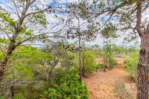 9359 Tartane Walk, Gulf Shores, AL 36542 - Photo 26