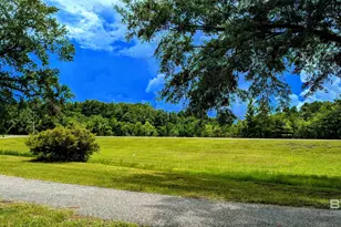 29744 Hwy 17, Millry, AL 36558 - Photo 78