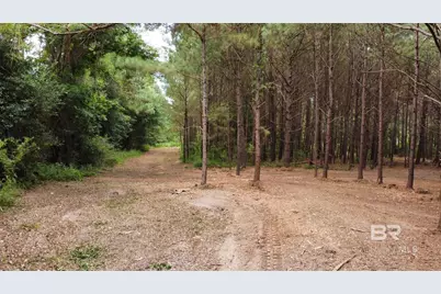 0 James Road, Foley, AL 36535 - Photo 1