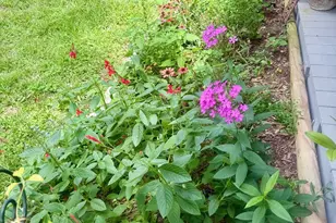 361 Shepherd Ct, Fairhope, AL 36532 - Photo 40