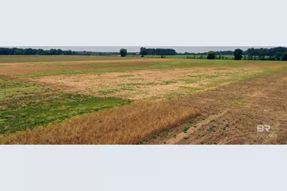 1 Shell Road, Jay, FL 32565 - Photo 14