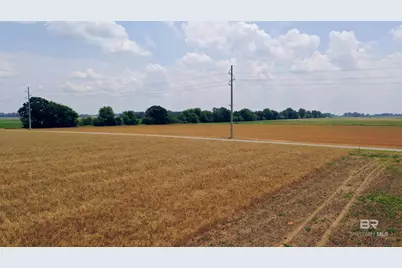 1 Shell Road, Jay, FL 32565 - Photo 16