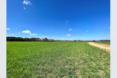 0 Pastoral Lane, Elberta, AL 36530 - Photo 6