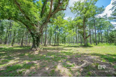 0 Hurricane Road, Bay Minette, AL 36507 - Photo 4