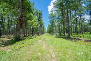 0 Hurricane Rd, Bay Minette, AL 36507 - Photo 1
