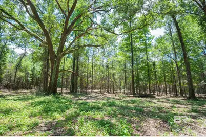 0 Hurricane Road, Bay Minette, AL 36507 - Photo 2