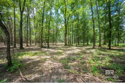 0 County Road 86, Bay Minette, AL 36507 - Photo 2