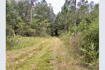 21305 River Road, Robertsdale, AL 36567 - Photo 16