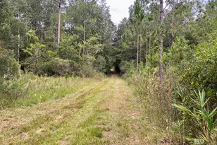 21305 River Rd, Robertsdale, AL 36567 - Photo 16