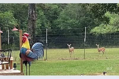 21305 River Road, Robertsdale, AL 36567 - Photo 14