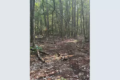 21305 River Road, Robertsdale, AL 36567 - Photo 46