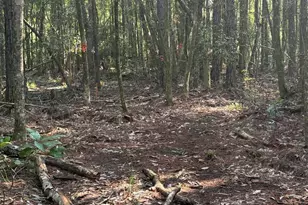 21305 River Rd, Robertsdale, AL 36567 - Photo 46