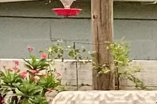 21305 River Rd, Robertsdale, AL 36567 - Photo 4