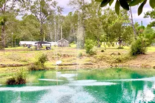 21305 River Rd, Robertsdale, AL 36567 - Photo 32