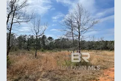 10765 Mary Ann Beach Road, Fairhope, AL 36532 - Photo 1