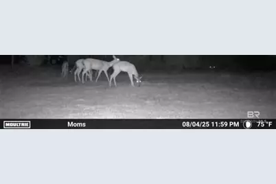 22963 Highway 98, Foley, AL 36535 - Photo 28