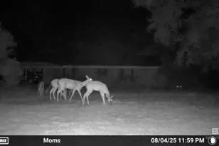 22963 Hwy 98, Foley, AL 36535 - Photo 28