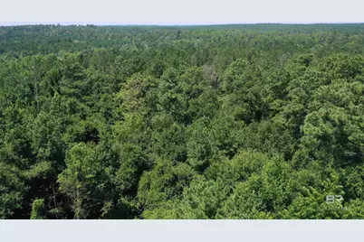 1 & 2 Jackson Circle, Brewton, AL 36426 - Photo 6