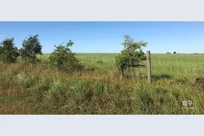 0000 County Road 91, Elberta, AL 36530 - Photo 8