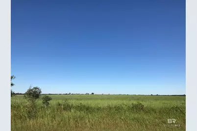 0000 County Road 91, Elberta, AL 36530 - Photo 6