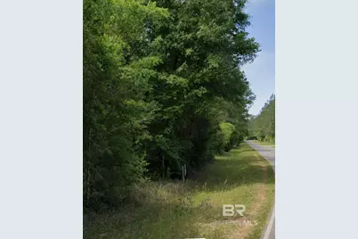 0 Byrnes Lake Road, Bay Minette, AL 36507 - Photo 1