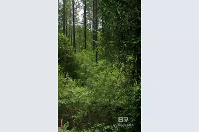 0 Byrnes Lake Road, Bay Minette, AL 36507 - Photo 2