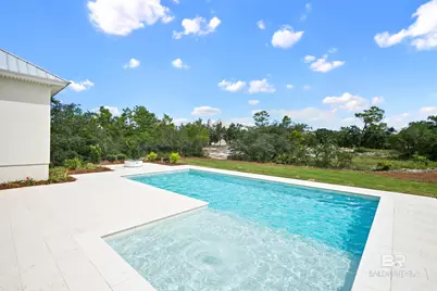 31410 Dolphin Drive, Orange Beach, AL 36561 - Photo 8