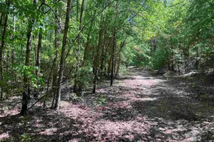 2610 Hwy 4, Jay, FL 32565 - Photo 78