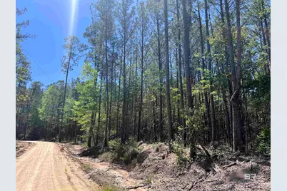 2610 Highway 4, Jay, FL 32565 - Photo 74