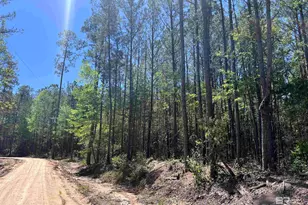 2610 Hwy 4, Jay, FL 32565 - Photo 74